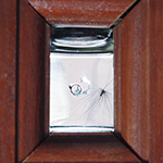 Self Isolation 2020 Dandelion seed in Jar detail
